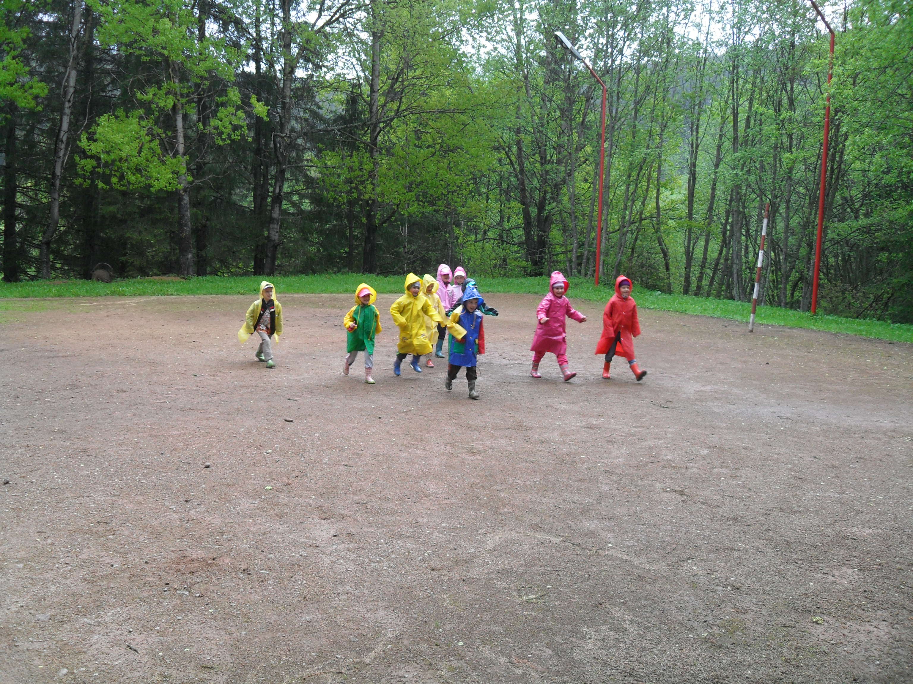 Kto to spí, pod bukom .... ? 