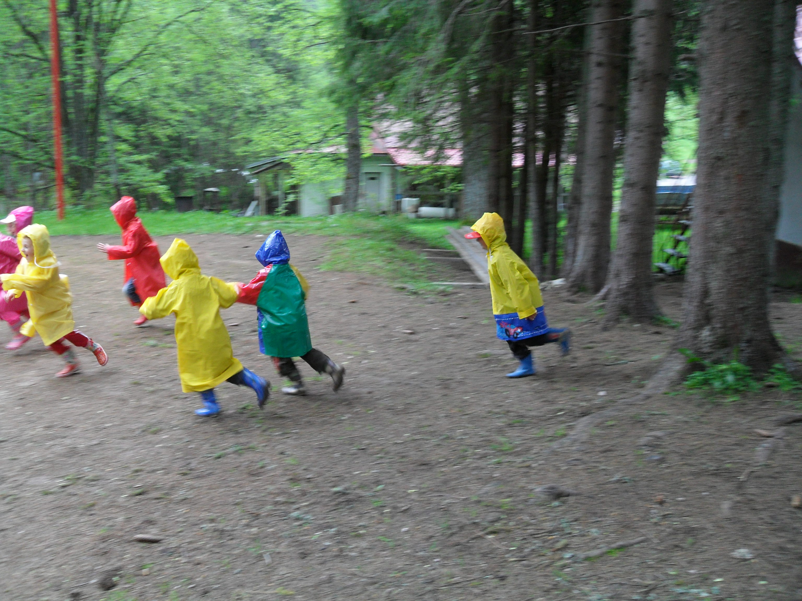 ... utekajte medveď  ... 